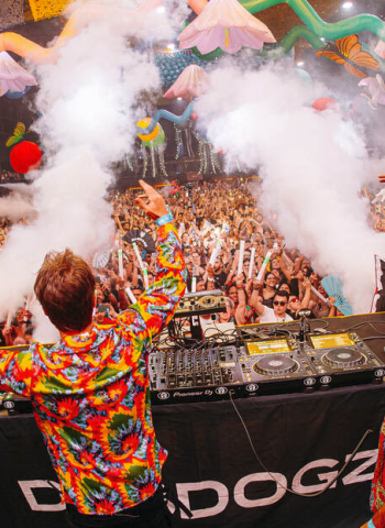 Dogz Parade chega a Brasília neste sábado (28)